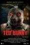 Ted Bunny (2026)